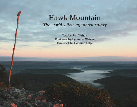 Hawk Mountain: The World’s First Raptor Sanctuary