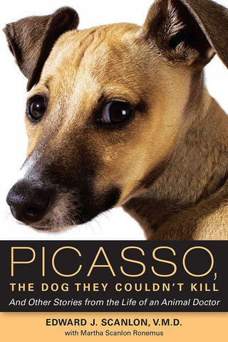 Picasso, The Dog They Couldn't Kill: And Other Stories From the Life of an Animal Doctor